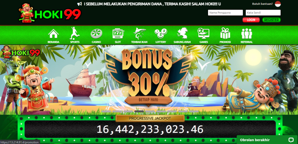 hoki99