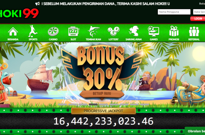 hoki99